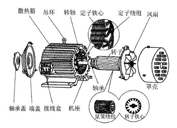 三相異步電動機的六種分類方法及具體分類。